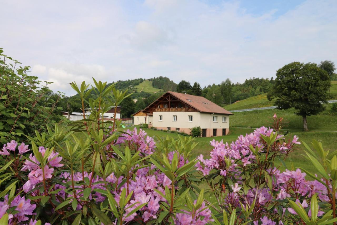 Les Chantenees La Bresse Exterior foto